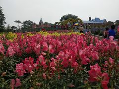 -松山湖梦幻百花洲