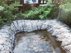 -天芳悦潭度假村温泉