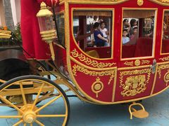 -芜湖新华联大白鲸海洋公园