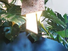 -渔芙南(三里屯店)