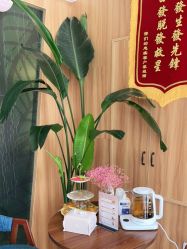 -丝客富脱发养发头皮馆