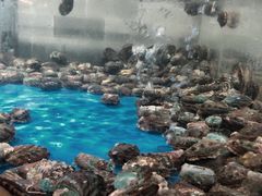 -万佳商业广场
