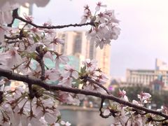 -西北湖绿化广场