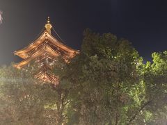 -南宋御街