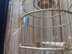 -鱼桥巷·美学川菜