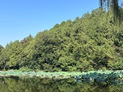 -香山公园