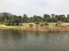 -厦门国家会计学院