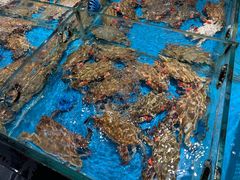 -隐厨·海鲜餐厅(恒通路店)