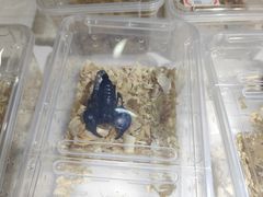 -三旗百汇商品城