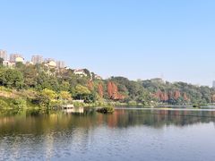 -重庆彩云湖湿地公园