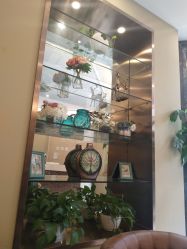 -碧莲盛·不剃发植发