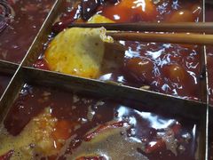 -肥龙火锅(南坪店)