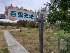 -上海长兴岛郊野公园