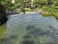 -厦门鸿山寺