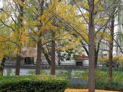 -玲珑塔公园