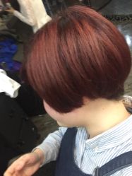 -小齐发型Star·Salon