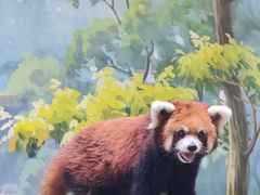 -海合安成都极地海洋公园