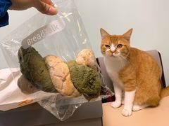 -BreadTalk面包新语·烘焙蛋糕(高德置地春广场店)