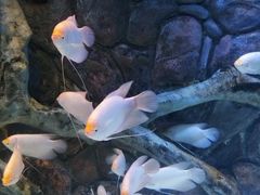 -多彩贵州城极地海洋世界