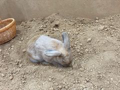 -弘阳·未来世界(弘阳广场店)