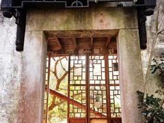 -上海鲜花港