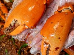 -喜记避风塘炒辣蟹(旗舰店)