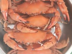 -莲花公园煎蟹(总店)