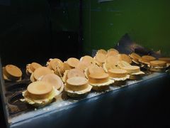 -薛新颖红豆饼(中式甜点山师店)