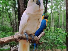 -北京野生动物园