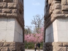 -桃花堤公园