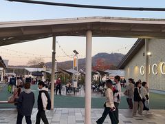 -轻井泽王子购物广场