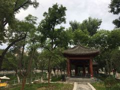 -莲湖公园