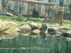 -上海野生动物园