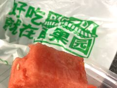 -百果园PAGODA(岭秀城店)