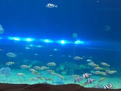 -华夏文旅西安度假区