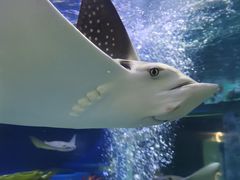 -成都浩海立方海洋公园