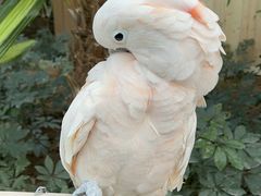 -南宫五洲植物乐园