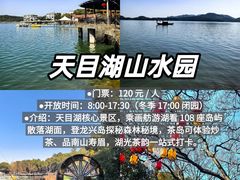 -紫藤园·天目湖大鱼头(南山竹海店)