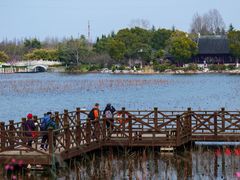 -上海海湾国家森林公园