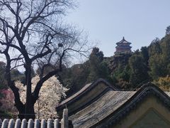 -颐和园