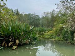 -桤木河湿地公园