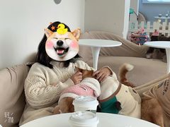 -怪兽屋·羊驼·猫咖·狗咖(俊华广场店)