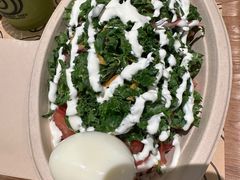 -油梨树AVOCADO TREE(嘉里中心店)