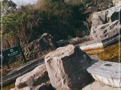 -上海吴淞炮台湾国家湿地公园