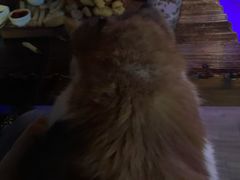 -后院儿·精酿·塔罗Happy Bar