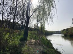 -皇粮浜湿地公园