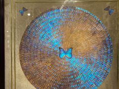 -上海昆虫博物馆