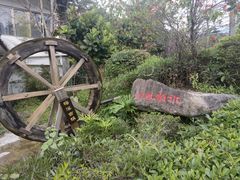 -广东天露山旅游度假区