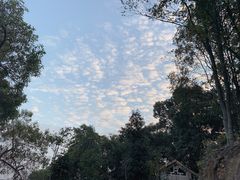-广州市白云山风景名胜区