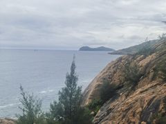 -广东惠东海龟国家级自然保护区